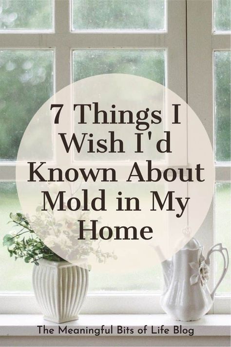 When my husband and I moved out of our last home, a rental house, I cleaned toxic mold. Lots of it. At that point, I knew hardly anything about mold, except that it looked gross. Mold Prevention, House Mold, Psychology Notes, Toxic Mold, Cleaning Mold, Rental House, Mold Remover, Home Repairs, Life Blogs