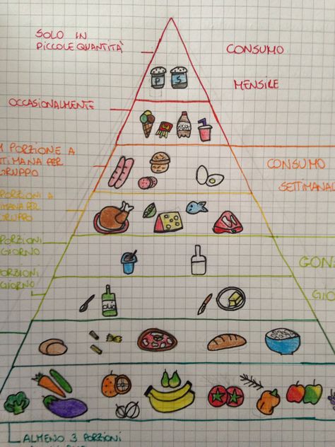 Piramide alimentare Balanced Diet, Bullet Journal, Diet, Quick Saves