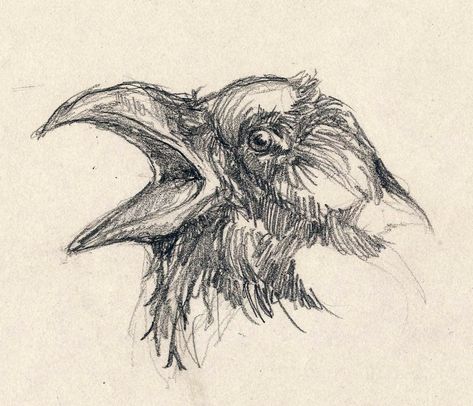 Scary Bird Drawing, Bird Skeleton Drawing, Crow Sketch Pencil, Dead Bird Drawing, Pencil Bird Alice In Wonderland, Bird Sketchbook Pages, Bird Line Drawing, Scary Birds, Jungle Fever