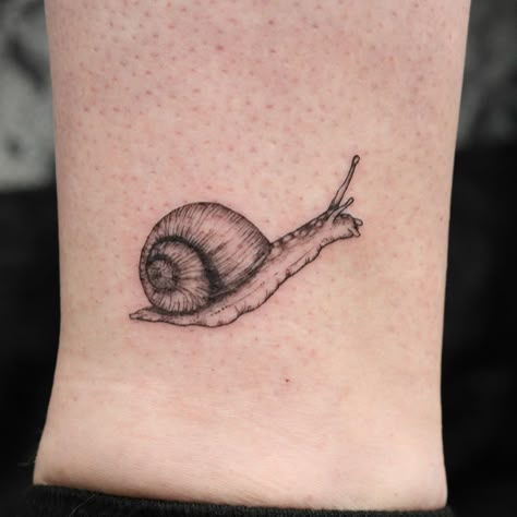 k on Instagram: “✒ All we need is a safe place to sleep ✒ another snail for Lauren 😍 (we might have a secret snail tattoo project in the works) thank you🤗✨…” Mystery Snail Tattoo, Snail Tattoo Fine Line, Matching Snail Tattoo, Garden Snail Tattoo, Cute Snail Tatoos, Realistic Snail Tattoo, Snail Tattoo Cute, Snail On Mushroom Tattoo, Snails Tattoo