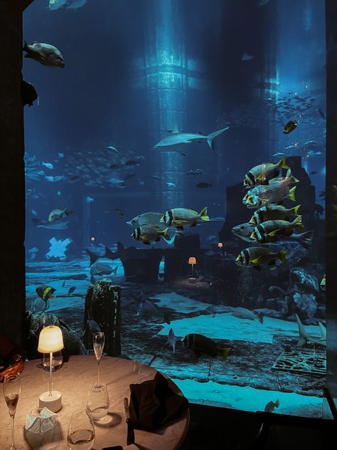 Dubai Underwater Restaurant, Aquarium Dinner Date, Ossiano Dubai, Dubai Dinner, Couple Date Night, Armani Hotel Dubai, Palm Jumeirah Dubai, Event Booth Design, Dubai Aquarium