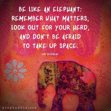 "Be like an elephant: Remember what matters, look out for your herd, and don't be afraid to take up space." ~Lori Deschene⠀ Elephant Spirit Animal, Elephant Quotes, Elephant Facts, Take Up Space, Tiny Buddha, Elephant Illustration, Elephant Drawing, Elephant Lover, Elephant Love