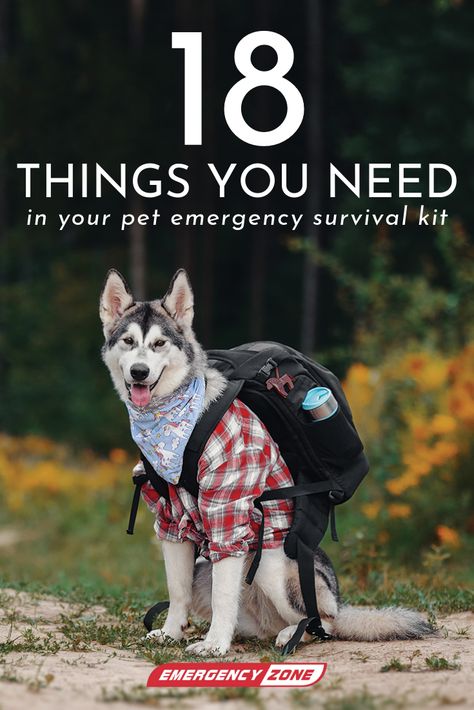 Dog Survival Kit, Dog Emergency Kit, Dog Emergency Go Bag, Puppy Binder, Pet Emergency Kit, Emergency Go Bag, Shtf Preparedness, Bug Out Bags, Emergency Binder