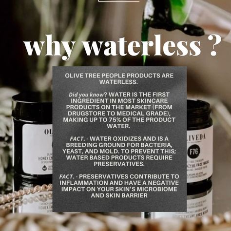 Join the waterless beauty movement drop a “🫒” to take my free skin quiz ✨ #oliveda #waterlessbeauty #olivedaglow #digitalmarketing Bday Party Kids, Tree People, Skin Quiz, Olive Tree, Bday Party, Yeast, Skincare Products, Kids Party, Did You Know