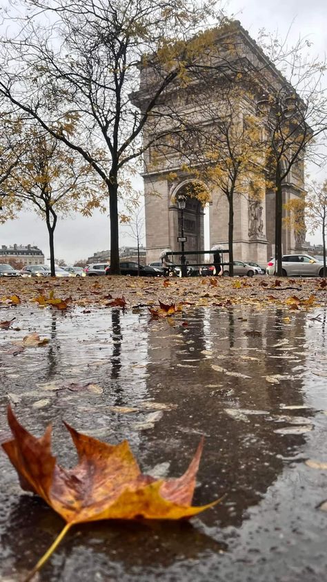 Paris Autumn Aesthetic, World Beautiful Places, Rainy Day Photos, Paris In The Fall, Paris In Autumn, Paris Wallpaper, Beautiful Paris, Parisian Life, Autumn Scenery