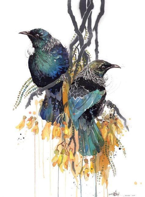 Rachel Walker — Kereru Swing Rachel Walker, Tui Bird, New Zealand Birds, Nz Art, New Zealand Art, Watercolour Inspiration, Artwork Abstract, Bird Artwork, Rare Animals