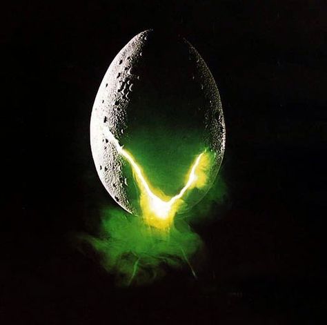 alien - please never, ever re-make this. Egg Poster, Alien Movie Poster, Top 100 Films, Alien Egg, Neill Blomkamp, Aliens 1986, Alien Movie, Alien 1979, Space Movies