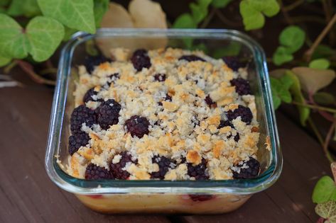 Blackberry Apple Pie, Easy Apple Betty Recipe, Apple Blackberry Pie Recipes, Apple Betty Recipe, Apple And Blackberry Crumble Recipe, Apple Blackberry Betty, Apple Betty, Triple Berry Pie, American Test Kitchen