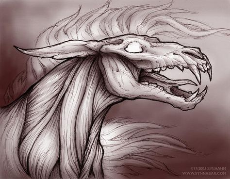 . Demon Horse, Creepy Animals, Horse Art Drawing, Scary Drawings, Creepy Drawings, Arte Peculiar, Horse Drawing, Horse Drawings, Creature Drawings