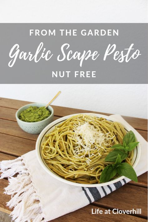 Garlic Scape Pesto {Nut Free} - Life at Cloverhill Pesto Nut Free, Garlic Shoots, Scape Pesto, Garlic Scape Pesto, Grow Garlic, Garlic Scapes, Summer Eats, Green Garlic, Growing Garlic