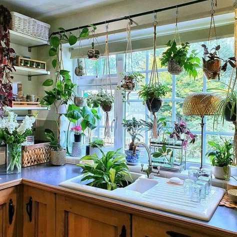 Plant In Kitchen Ideas, Plant Theme Kitchen, Plant Lover House, Plants Kitchen Decor, Plant Filled Kitchen, Kitchen With Lots Of Plants, Plant Lover Apartment, Kitchen Full Of Plants, Plant Themed Kitchen