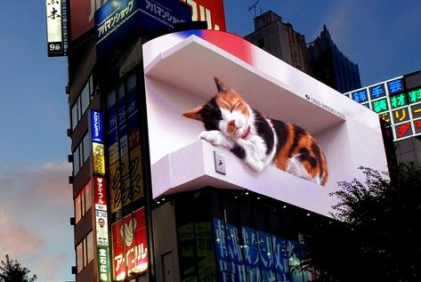 New Tokyo Landmarks near Shibuya and Shinjuku Stations | The Official Tokyo Travel Guide, GO TOKYO Giant Cat, One Twitter, Calico Cat, Digital Signage, Tokyo Japan, Exhibition Design, Bored Panda, Kyoto, How To Fall Asleep