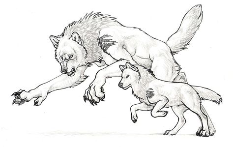 Normal wolf transforms to Dire wolf Dire Wolf Drawing, Werewolf The Apocalypse, Werewolf Drawing, Wolf Drawings, Apocalypse Character, Werewolf Aesthetic, Wolf Sketch, Van Helsing, Werewolf Art