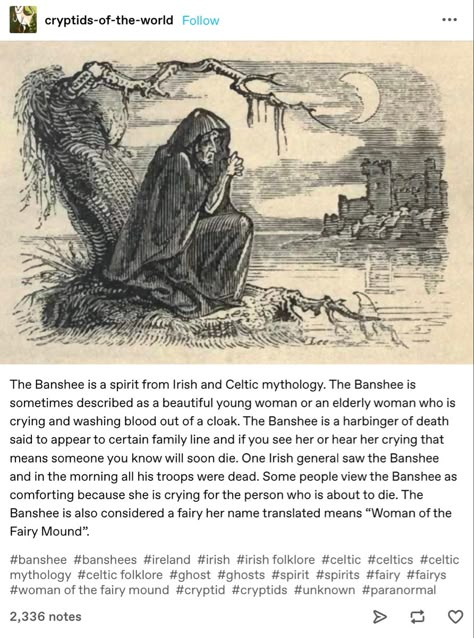 banshee irish spirit Irish Monsters, Irish Mythology Aesthetic, Irish Magic, Banshee Tattoo, Banshee Mythology, German Folklore, Djinn Mythology, Celtic Folklore, Irish Vampire