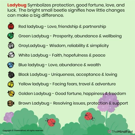 Ladybug Meaning & Symbolism – A Complete Guide Ladybug Symbolism Meaning, Ladybird Spiritual Meaning, Insect Meaning Spiritual, Spiritual Meaning Of Ladybugs, Orange Ladybugs Spiritual Meaning, Beetle Spiritual Meaning, Ladybug Symbolism, Ladybug Spiritual Meaning, Ladybug Meaning