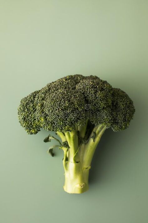 Fresh raw whole broccoli on a green background. Vegetarianism, healthy eating. Flatlay royalty free stock photography Fresh Veggies, Stock Photography Free, Green Background, Green Backgrounds, Broccoli, Stock Photography, Healthy Eating, Royalty, Royalty Free