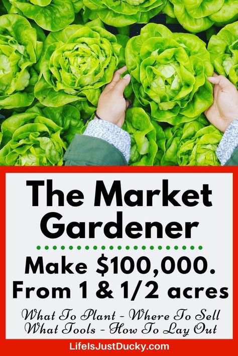 How to set up a successful market garden. Learn how to make a living on your homestead. A review of The Market Gardener. Set up a profitable garden. Garden Trellises Ideas, Apartment Homestead, Backyard Homesteading, Homestead Design, Hobby Farming, Agriculture Business, Homesteading Diy, Farming Business, Vegetable Farming