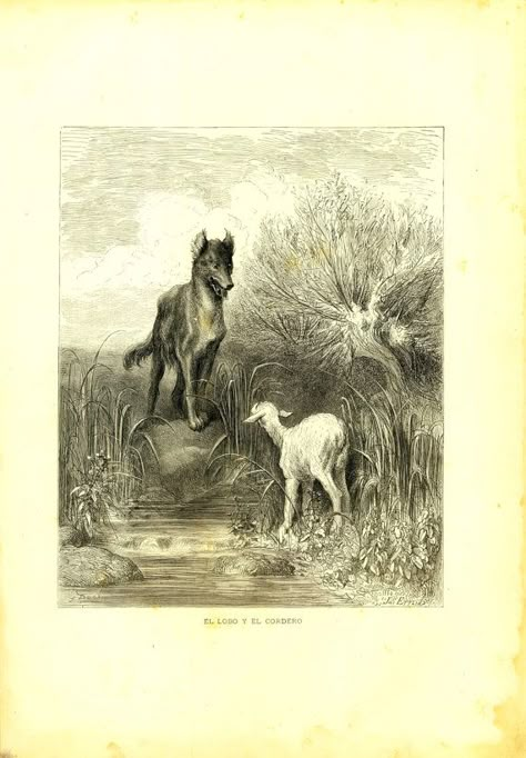 Wolf Engraving Illustration, Wolf And Sheep Art, Wolf And Lamb Art, Wolf And Lamb Tattoo, Lamb And Wolf, Wolf And Sheep, Wolf And Lamb, Lamb Illustration, Lambs And Wolves