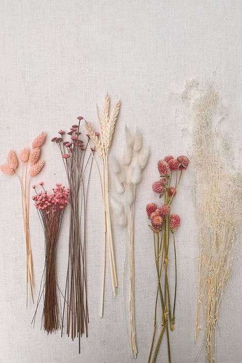 Diy Dried Flower Bouquet, Kaktus Dan Sukulen, Fleurs Diy, Flower Bouquet Diy, Dried Bouquet, Flowers Wallpaper, Deco Floral, Diy Bouquet, Wholesale Flowers