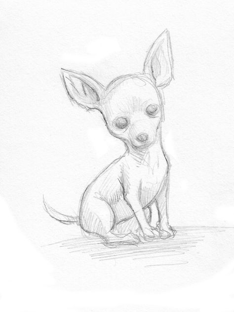 pretty good blog: dogs? Dog Sketch Easy, Puppy Drawings, Chihuahua Drawing, Chihuahua Art, Dog Sketch, Animal Sketches, Sketches Easy, Dog Drawing, Dog Paintings