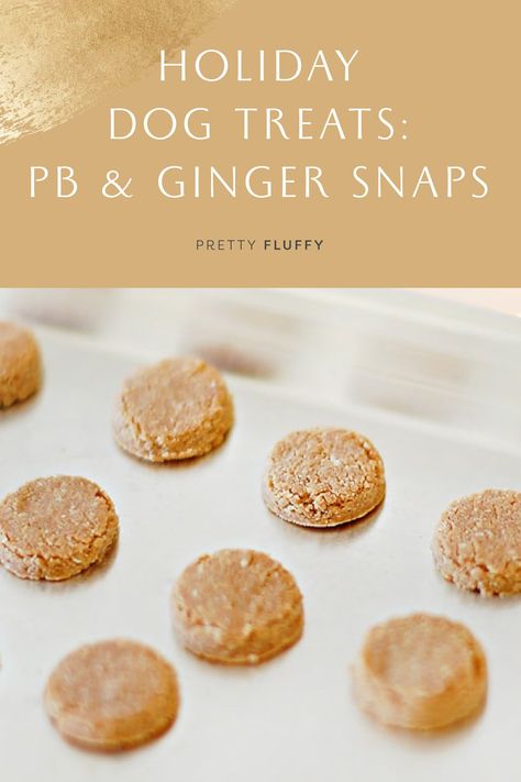 Holiday Dog Treats: PB & Ginger Snaps Vegetarian Dog Treats, Ginger Dog, Holiday Dog Treats, Christmas Dog Treats, Dog Treats Grain Free, Peanut Butter Dog Treats, Dog Treats Homemade Recipes, Dog Birthday Cake, Diy Dog Treats