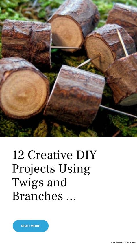 Twigs Diy Craft Ideas, Twig And Branch Projects, Diy With Tree Branches, Wood Branch Crafts, Branch Crafts Diy, Twig Furniture Diy, Tree Slices Ideas, Twigs And Branches Decor, Stick Art Branches