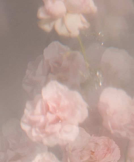 Rose Texture, Rouje Paris, Hippie Wallpaper, Pastel Pink Aesthetic, Phone Wallpaper Patterns, Classy Aesthetic, January 21, Pink Themes, Vanessa Bruno