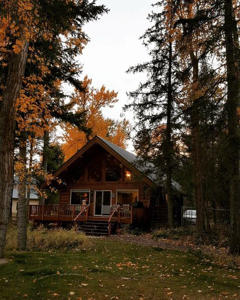 A Cabin In The Woods, Cabin Aesthetic, Forest Cabin, A Cabin, Cabin In The Woods, Cabins And Cottages, Cabin Life, House Goals, Cozy Cabin