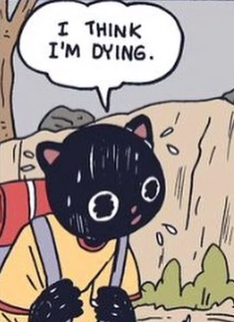 Barometric Pressure, Arte Inspo, Reaction Images, Mood Pics, Aesthetic Art, A Tree, Drawing Reference, Cute Art, Black Cat