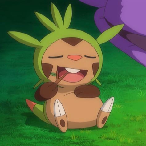 Chespin Pokemon Art, Green Pokemon Icon, Kalos Gym Leaders, Chespin Pokemon, Angel Widget, Pokemon Chespin, Pokemon Core, Pokemon Pfp, Pokemon Icon