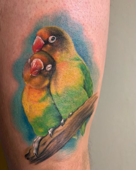 Conure Tattoo, Lovebirds Tattoo, Love Birds Tattoo, Love Bird Tattoo, Lovebird Tattoo, Tattoos Realism, Freehand Lettering, Bird Tattoo Sleeves, Pair Tattoos