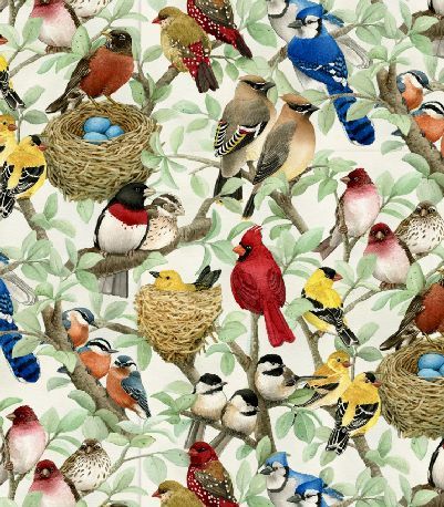 Housing Boom, Beautiful Birds “Housing Boom”, es4320 Cream, Fabric Catalog, Needlecraft, Inc. Cottage Quilt, Bird Quilt, Sewing Fabrics, Fabric Birds, Colorful Birds, Quilt Shop, Cotton Quilts, Quilt Fabric, Fabric Collection