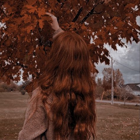 Redhead Wearing Orange, Reddish Brown Hair Aesthetic, Dark Ginger Hair Balayage, Faceless Redhead Aesthetic, Red Head Character Inspiration, Redhead Woman Aesthetic, Redhead Halloween, Aquarius Aesthetic, Ginger Girls