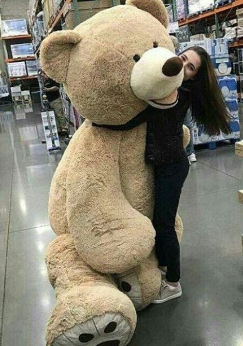 Tady Bear, Jumbo Teddy Bear, Aesthetic Bear, Huge Teddy Bears, Big Teddy Bear, Big Teddy, Giant Teddy Bear, Giant Teddy, Big Bunny