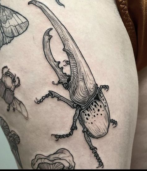 240+ Radiant Mushroom Tattoos Ideas and Designs (2023) - TattoosBoyGirl Creepy Bug Tattoo Ideas, Botanical Sticker Sleeve Tattoo, Weird Bug Tattoos, Bug Themed Tattoo Sleeve, Insect Leg Sleeve, Beetle Drawing Tattoo, Insect Leg Tattoo, Dark Bug Tattoo, Scientific Illustration Tattoo Sleeve