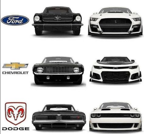 Dodge Auto, Car Facts, Modern Muscle Cars, Super Fast Cars, Dodge Vehicles, Custom Pickup Trucks, Chevrolet Pickup, Custom Muscle Cars, Pretty Cars