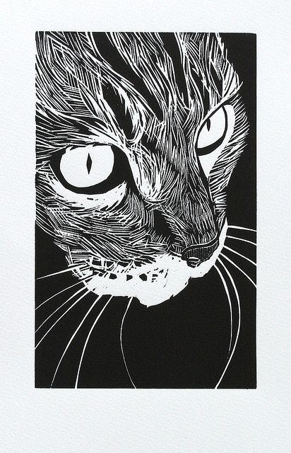 woodcut 'Tabby' by Peter Polaine Wood Cut Printmaking, Wood Cut Print, Animal Line Drawings, Woodcut Prints, Woodcut Art, Lino Cuts, Linocut Printmaking, Lino Art, Creation Art