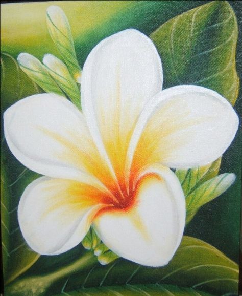 Kamboja Flower, Hawaiian Art, Flower Art Drawing, Art Painting Gallery, Acrylic Flowers, Flower Art Painting, Art Painting Acrylic, Arte Floral, Painting Abstract