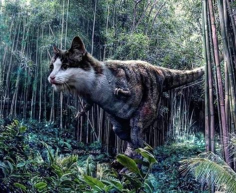 Cat Dinosaur, Animal Mashups, Random Animals, Hilarious Animals, Family Guy Funny, Family Guy Funny Moments, Silly Animals, Jurassic Park, Jurassic World