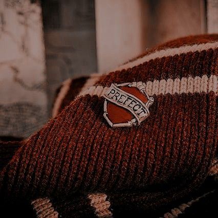 @knoxturnally #harrypotteraesthetic #gryffindoraesthetic #slytherinaesthetic #weasleysweater #weasleytwins Weasley Sweater, Sweater Ornaments, Rabastan Lestrange, Gryffindor Pride, Gryffindor Aesthetic, Harry Potter Wall, Oliver Wood, Harry Potter Icons, Harry Potter Houses