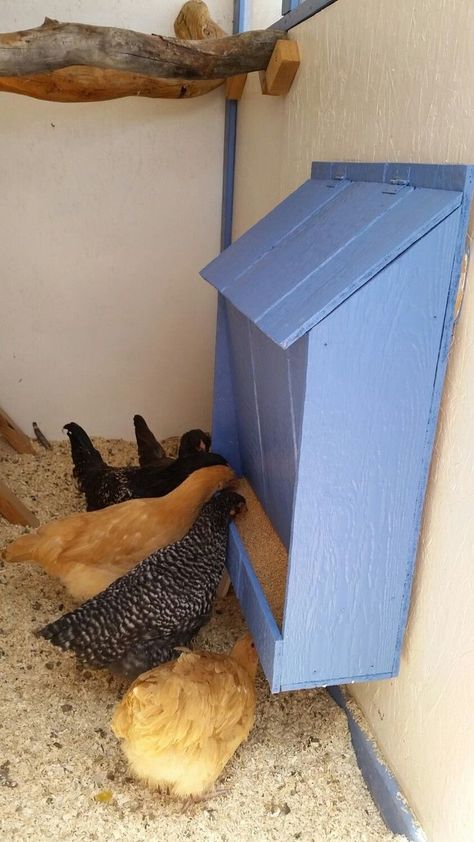 DIY chicken feeder Reban Ayam, Chicken Feeder Diy, Chicken Coop Garden, Chicken Barn, Backyard Chicken Coop Plans, Diy Chicken Coop Plans, Chicken Feeders, Chicken Coop Run, Backyard Chicken Farming