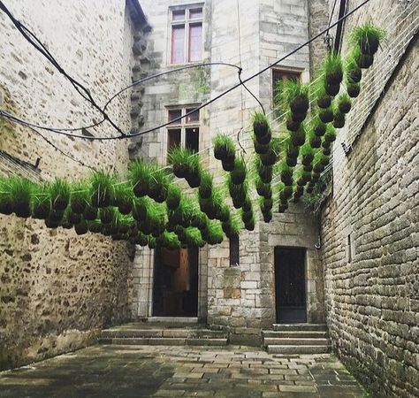 Green Installation Art, Vegetal Canopy, Stone Courtyard, Green Canopy, String Garden, Plants Hanging, Girona Spain, Plant Installation, Green Facade