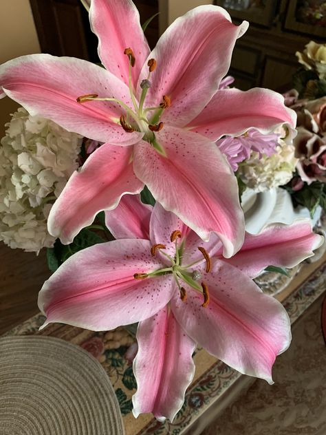 Baby Pink Flowers, Photos Flowers, Boquette Flowers, Nothing But Flowers, Flower Therapy, Beautiful Bouquet Of Flowers, Beautiful Flowers Pictures, Human Art, Exotic Flowers