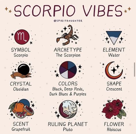 Scorpio As A Person, Astrology Watercolor, Zodiac Vibes, Spirit Daughter, Zodiac Quotes Scorpio, Scorpio Art, Astrology Scorpio, Scorpio Zodiac Facts, Zodiac Signs Scorpio