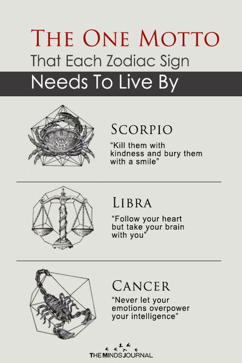 Cancers And Scorpios, One Word To Describe Zodiac Signs, Instagram Bio Ideas Zodiac Sign, Scorpio Images, Zodiac Signs Images, Zodiac Signs Meaning, Scorpio Zodiac Facts, Minds Journal, Sign Meaning