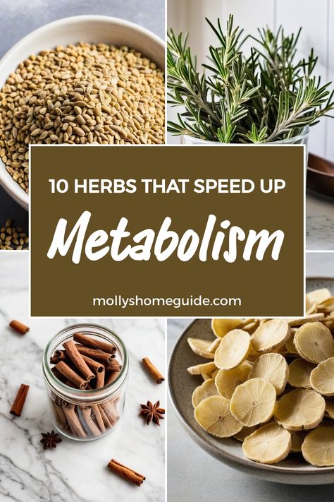 Discover the natural power of herbs and spices for weight loss. Boost your metabolism with these fat-burning spice mixes and improve your weight loss journey. From herbs that speed up metabolism to foods that rev up your metabolic rate, incorporate these metabolism-boosting ingredients into your meals. Speed up weight loss naturally by including herbs like cayenne, ginger, and turmeric in your daily diet. Enhance fat burning processes with the help of natural herbs that can support a healthy met Losing Weight Herbs, Fast Metabolism Diet Plan, Backyard Homesteading, Herbal Therapy, Just Spices, Speed Up Metabolism, Fast Metabolism Diet, Fast Metabolism, Herbs And Spices