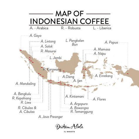 Indonesian Coffee, Coffee Chart, Coffee Roasting, Coffee Time, Java, New Recipes, Cafe, Map, Coffee