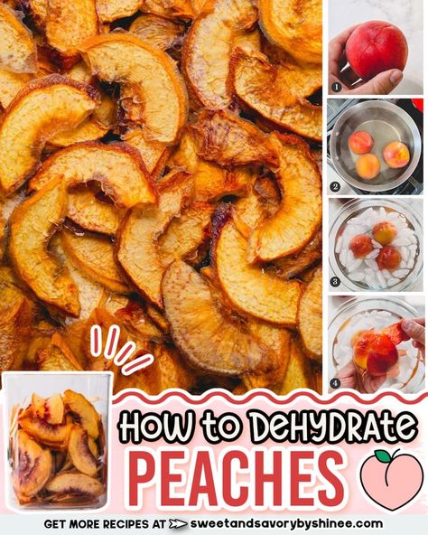 Learn how to dehydrate peaches and preserve summer’s sweetness with this easy-to-follow guide. How To Dehydrate Peaches, Dehydrate Peaches, Donut Peach, Dried Peaches, Homemade Trail Mix, Peach Slices, Peach Recipe, Dehydrated Food, Drink Ideas