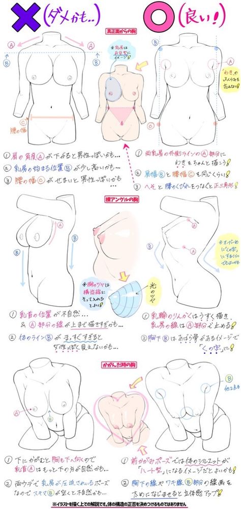 Female Anatomy Reference, Drawing Female Body, Anatomy Tutorial, Human Anatomy Drawing, Body Drawing Tutorial, Manga Drawing Tutorials, Human Anatomy Art, 캐릭터 드로잉, Concept Art Drawing