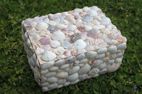 Sea Shell Jewelry Box, Seashell Boxes Ideas, How To Decorate A Wooden Box Ideas, Seashell Jewelry Box, Seashell Box Diy, Shell Box Diy, Diy Seashell Jewelry, Diy Seashell Crafts, Seashell Jewelry Diy